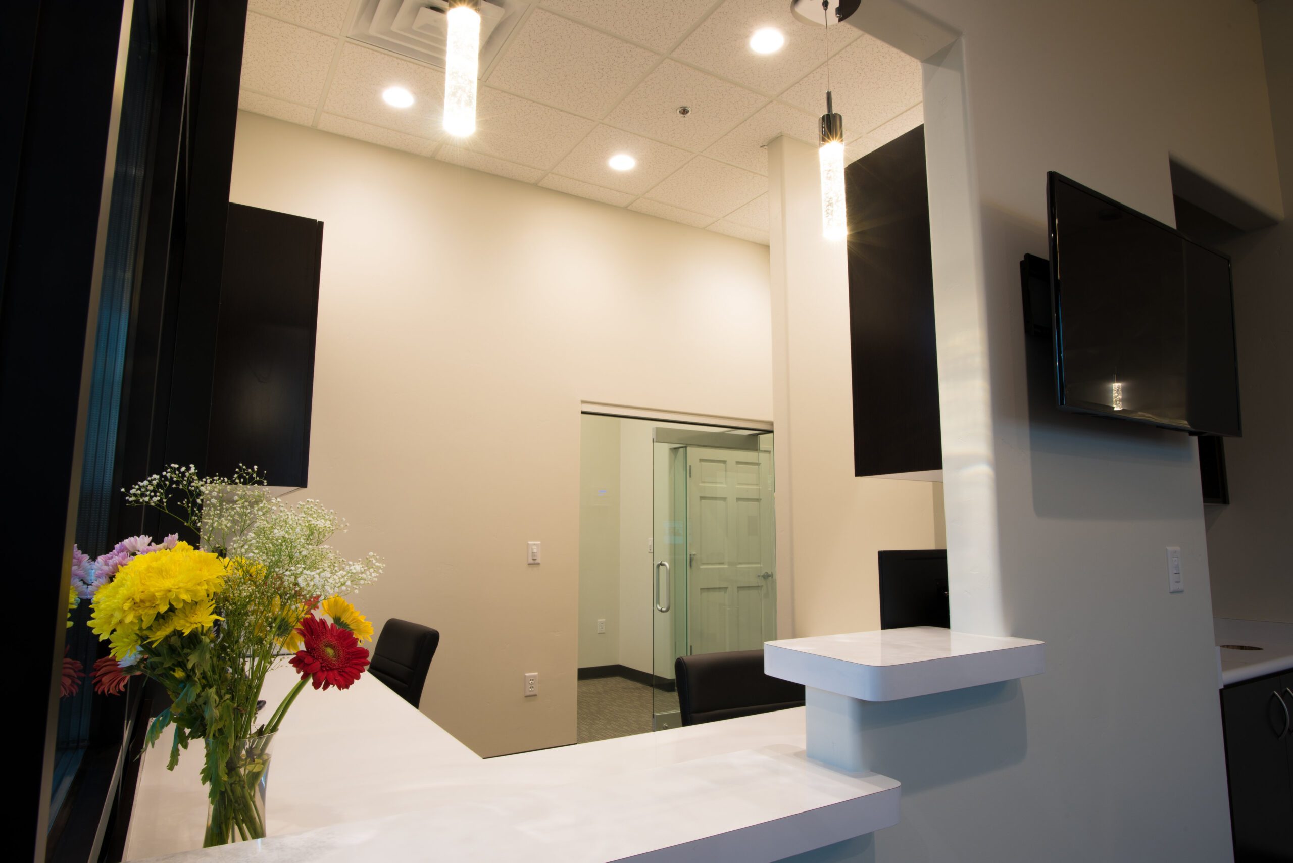 View More: http://phantranphotos.pass.us/autumnlakedental
